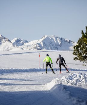 Cross-country ski resorts and Nordic areas