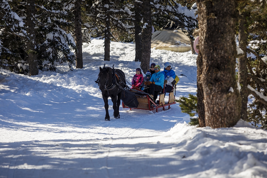 Traîneau à cheval - Le Carrousel des Neiges - Angaka - Ariège, France