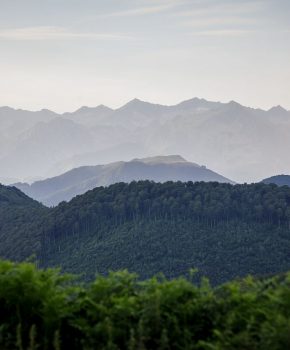 The Regional Natural Park of the Ariège Pyrenees