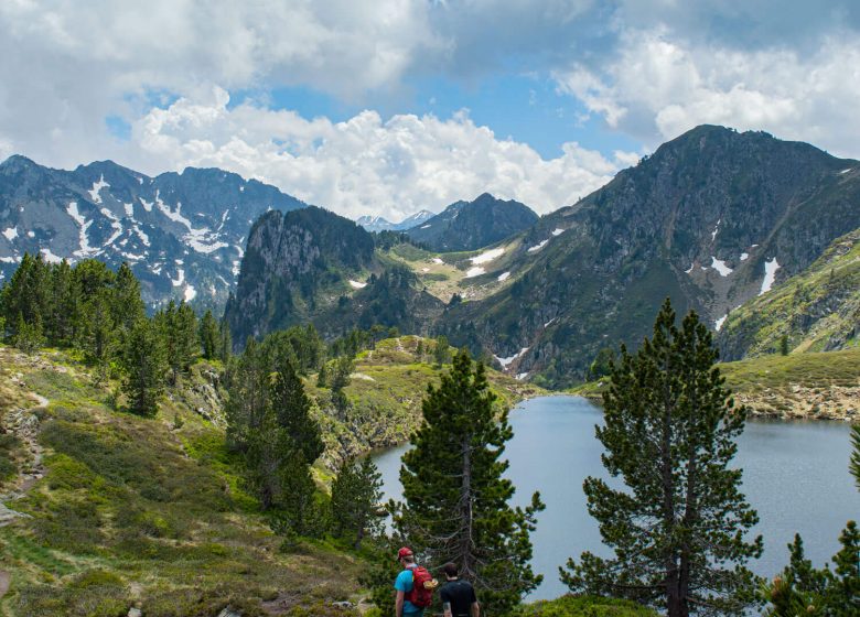 Rabassoles ponds