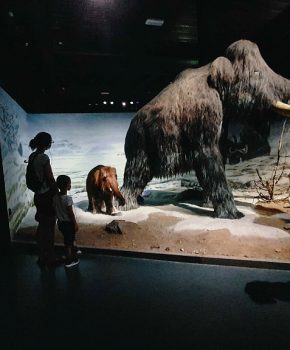 El Parc de la Prehistòria