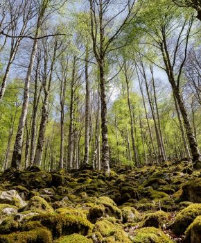 Mont Valier en zijn reservaat