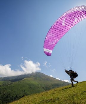 Toutes les activités