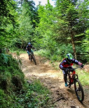 Downhill in mountain bike al Bike Park Ax-3-domains