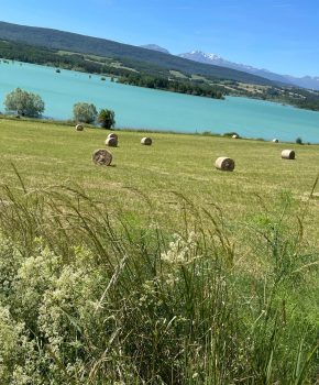 Los buenos planes del lago de Montbel