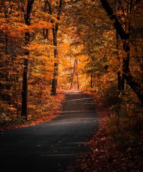 Le migliori passeggiate autunnali 🍁