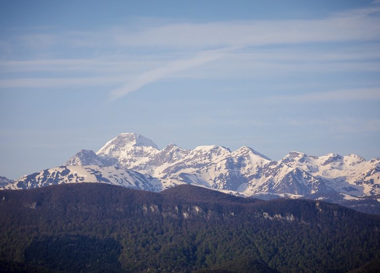 Tuc de Montcalivert