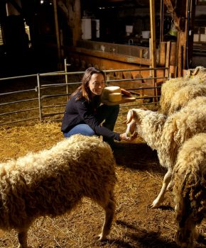Elodie, sheep breeder
