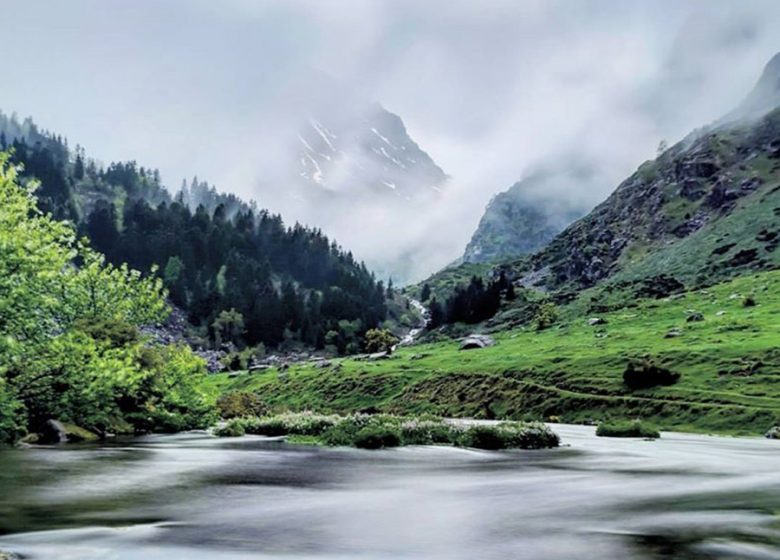 Estany del comte