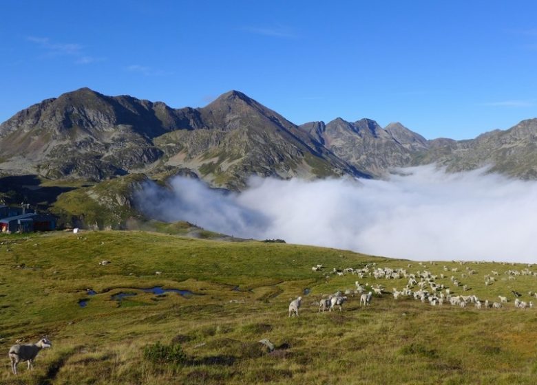 Refugio del Rulhe a través de Le Rieutort