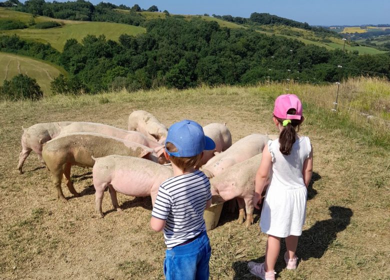 Visita de la granja Castel Pouzouilh