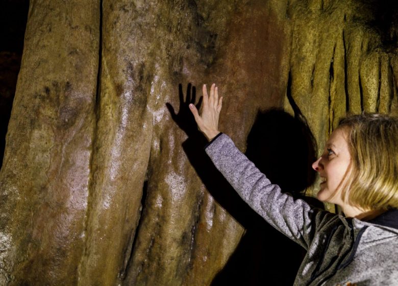 Grotta di Bédeilhac