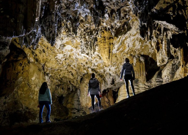 Grotta di Bédeilhac