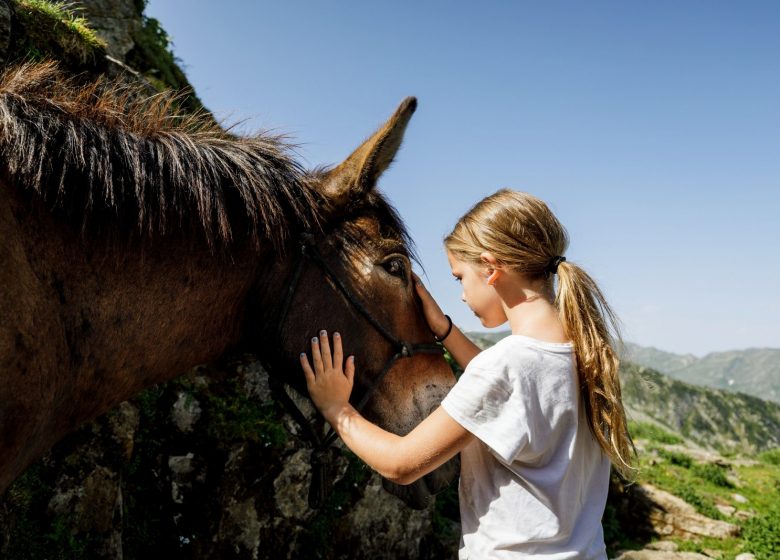 Les mules de Soula