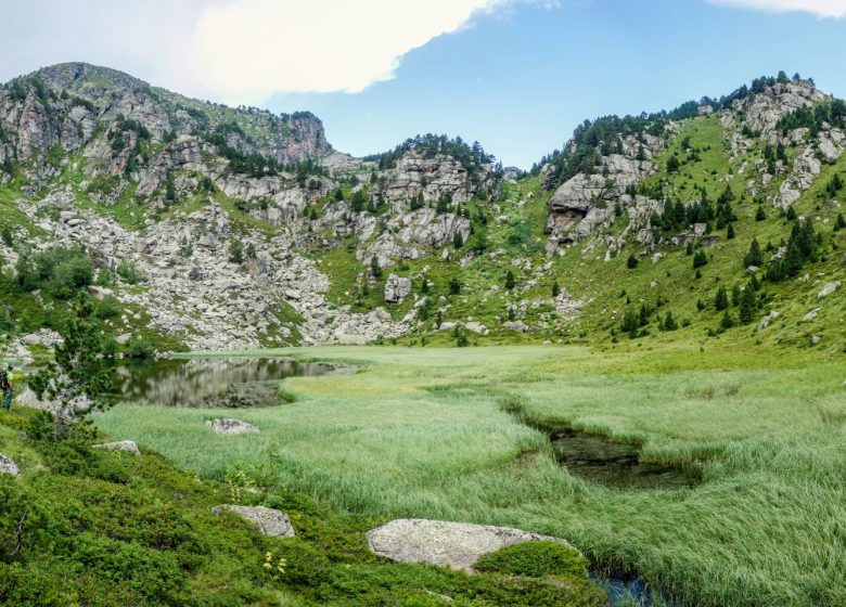 Natura 2000 Vallée de l’Aston