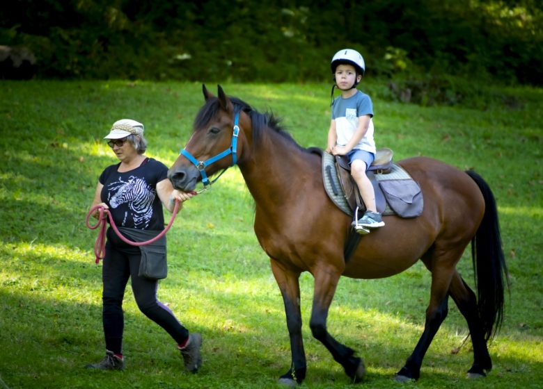 Clases de equitación La propia crin de caballo