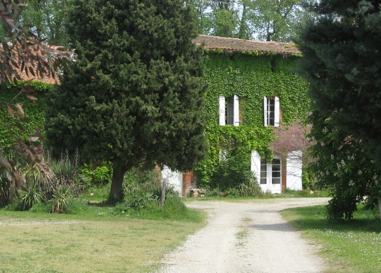 Cottage of Palosse