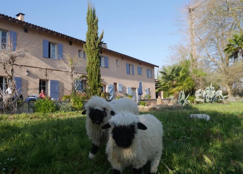 Centre agro-environnemental de Brassacou