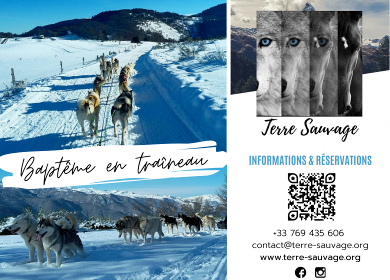 First sleigh ride with Terre Sauvage