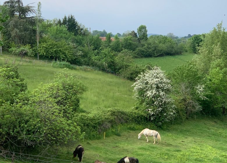 Location Sous La Glycine