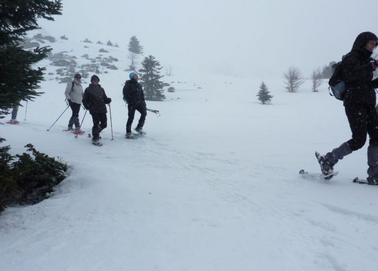 Snowshoes at the resort of Mijanès-Donezan