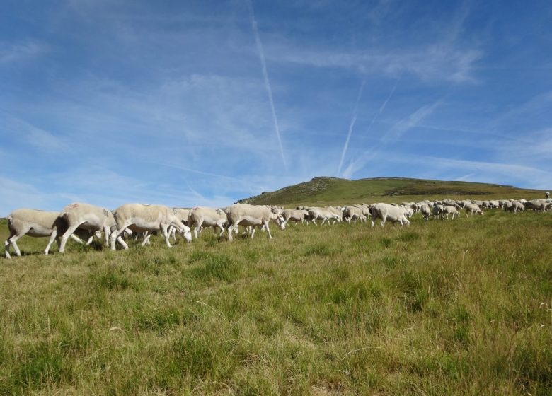 Les muntanyes d'Aston i de l'Hospitalet