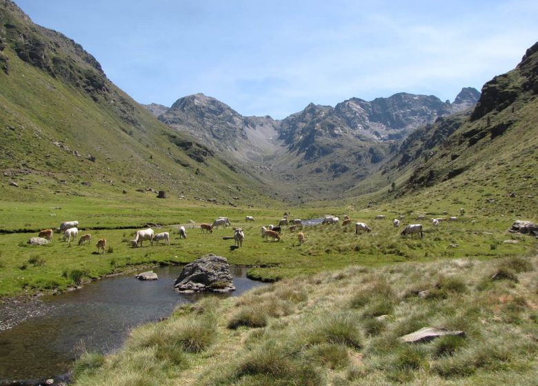 Vall de Soulcem