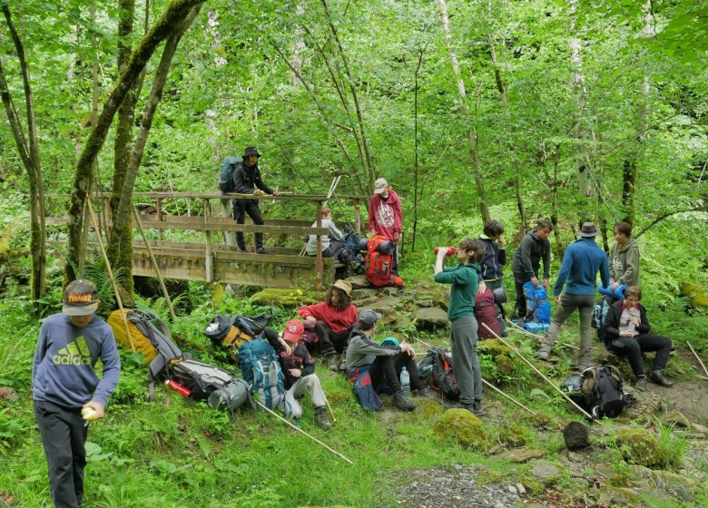 Mountain stay for resourceful ichnologists