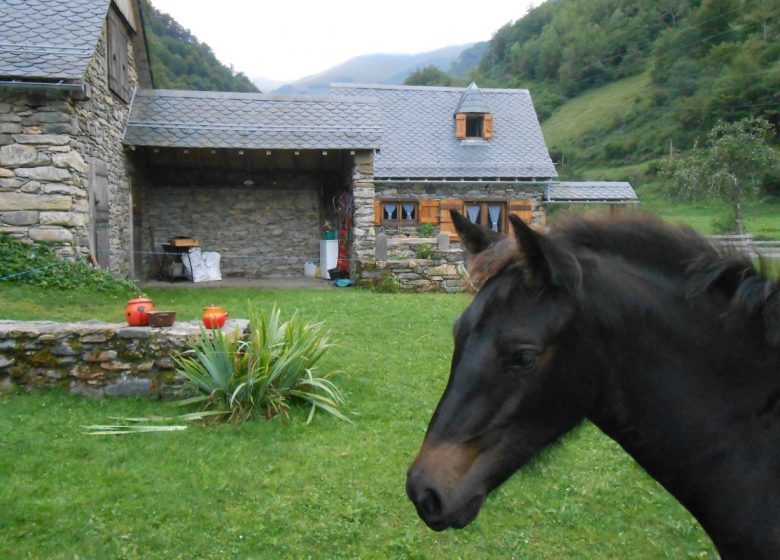 Gîte “Le Mérens”