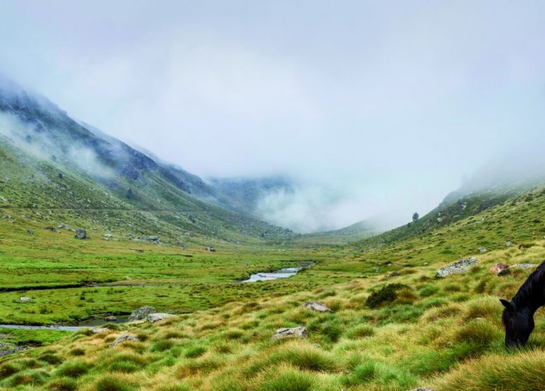 Regional Natural Park of the Ariège Pyrenees