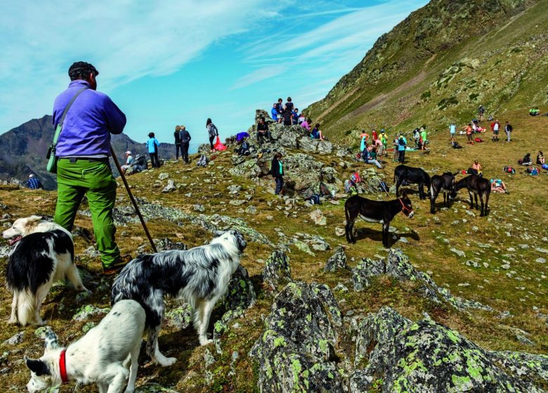 Parque Natural Regional de los Pirineos de Ariège