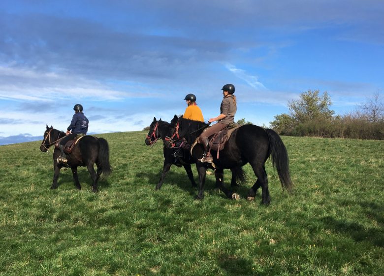 Soularac equestrian center