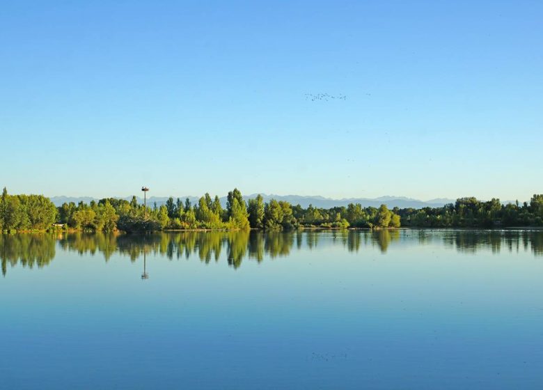 Naturaleza cátara