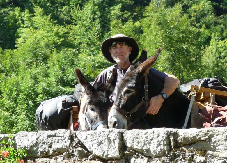 Donkeys of the Cathar Pyrenees
