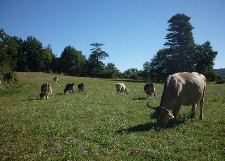 Ferme de Portecluse