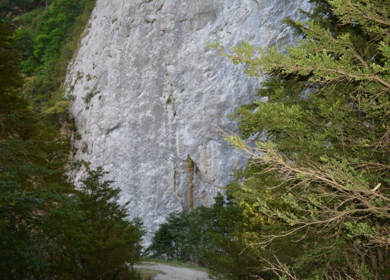 Les Gorges de la Frau