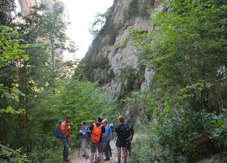 Les Gorges de la Frau