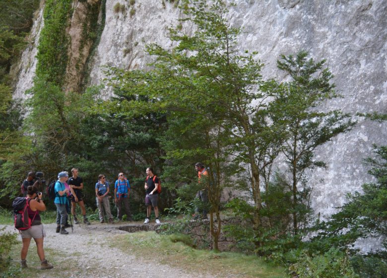 Le gole della Frau