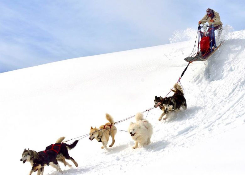 Dog sledding with Angaka Nordic Village