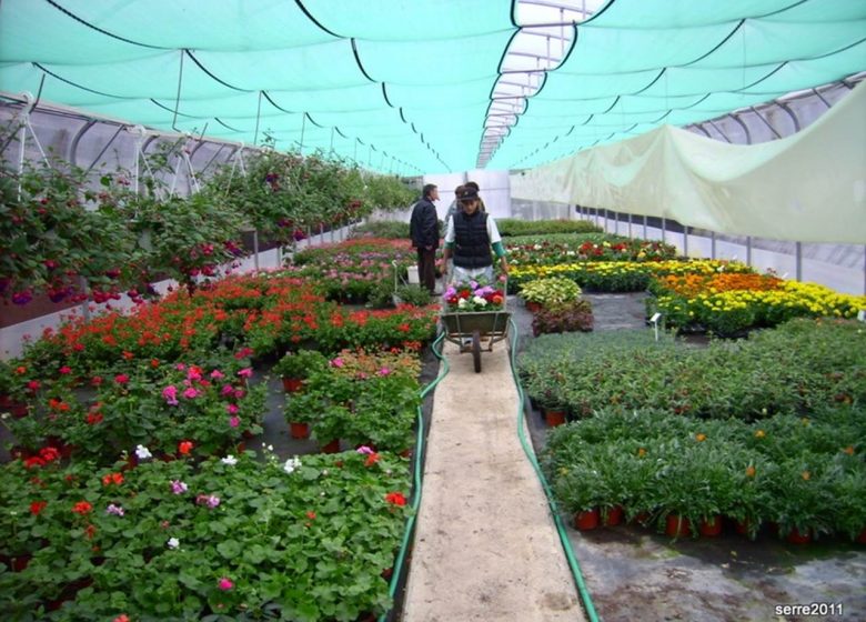 Maraichers et horticulteurs Dupin