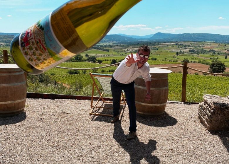 Vin & Compagnie