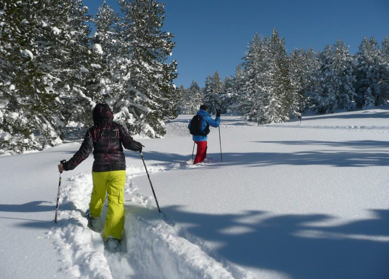 Raquettes à neige avec Angaka Village Nordique