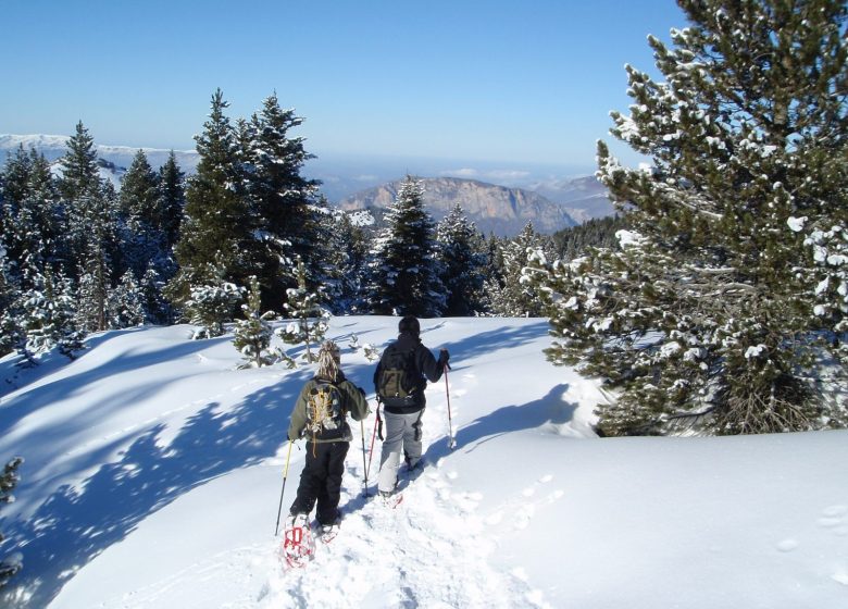 Excursió amb raquetes de neu amb Angaka Village Nordique