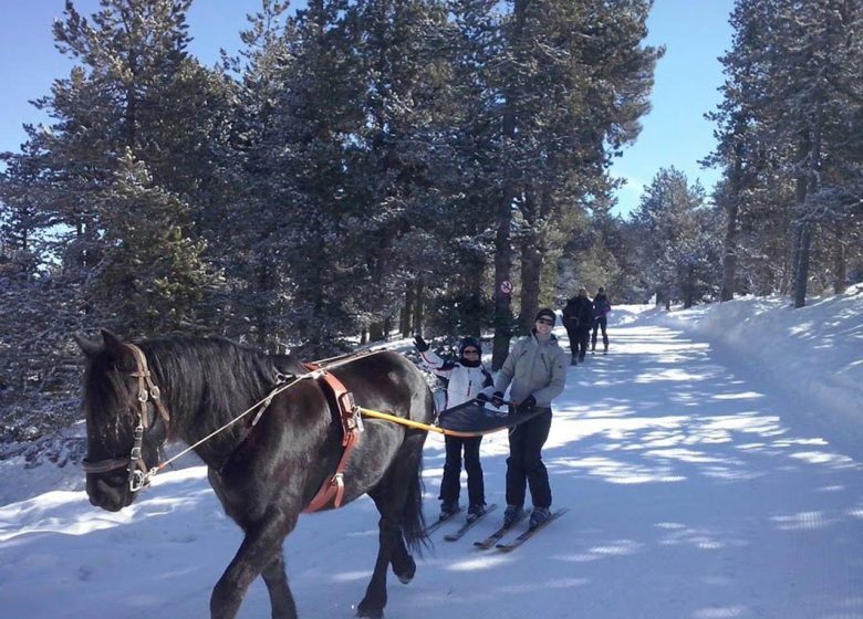 Solo of duo skijoring met Angaka Village Nordique