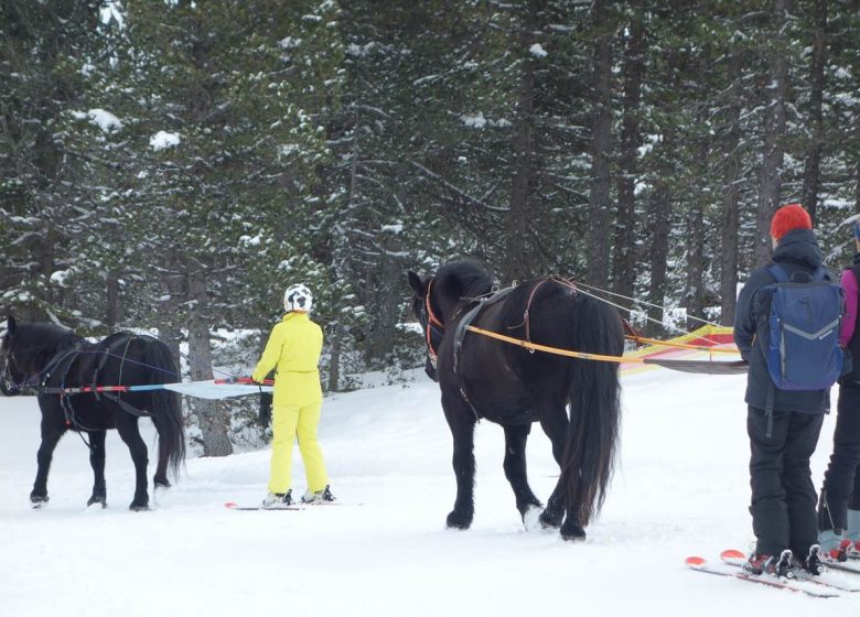 Solo of duo skijoring met Angaka Village Nordique