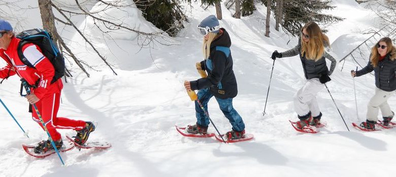 Snowshoeing with the ESF of Beille and Chioula