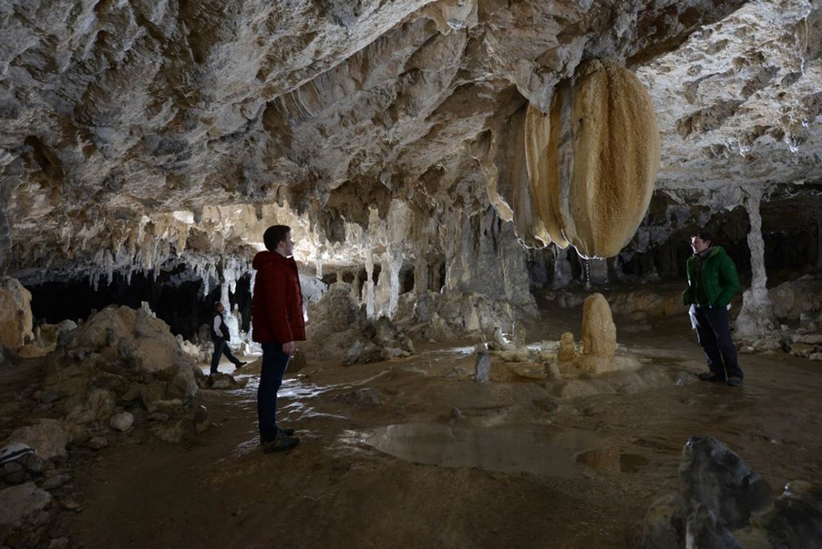 Visite guidée de 2h avec montée en petit train à la grotte de Lombrives