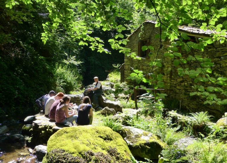 Le moulin de la Laurède