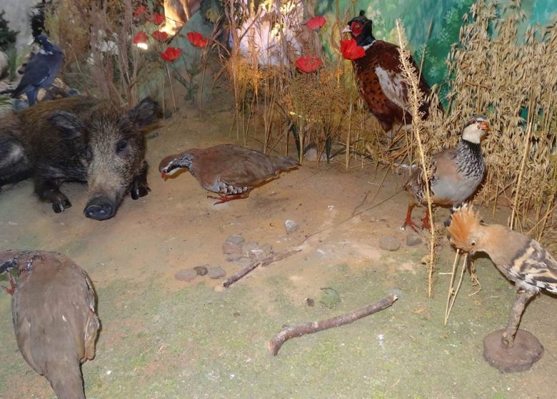 Museum of Hunting and Nature