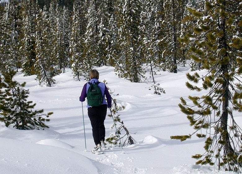 Randonnée raquettes à neige avec Montcalm Aventure